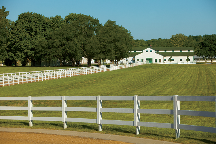 The Park At Harlinsdale Farm