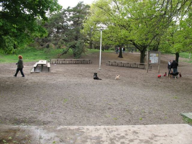 Colonel Danforth Park
