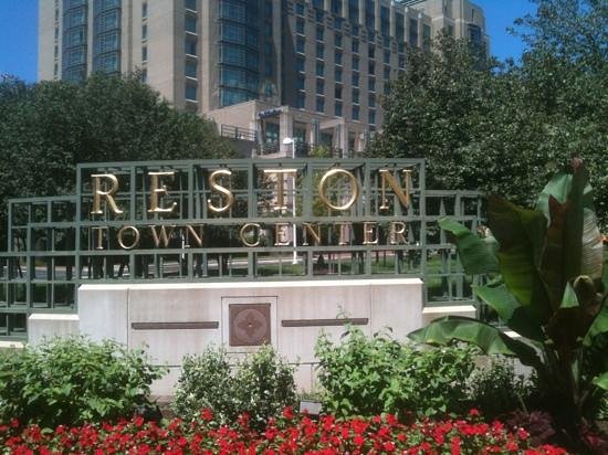 Reston