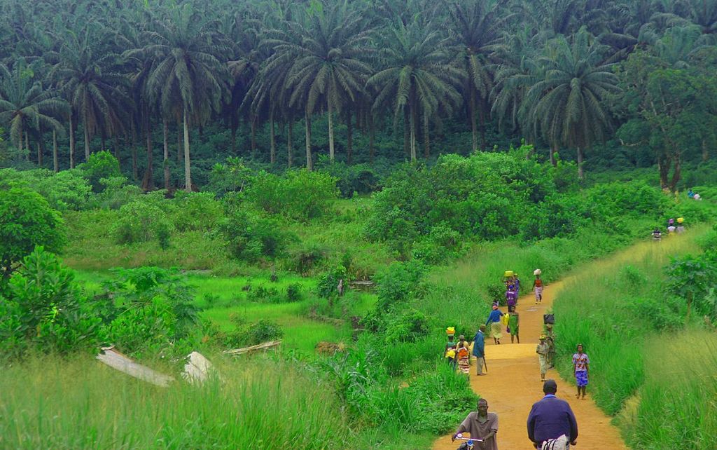 20 Sierra Leone Road