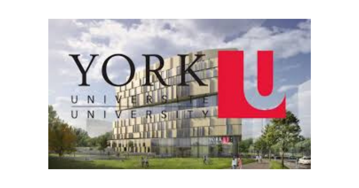 York University