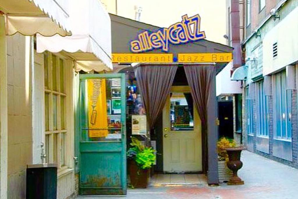 Alley Catz 2409 YONGE ST TORONTO ON