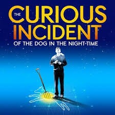 The Curious Incident Of The Dog In The Night-time 